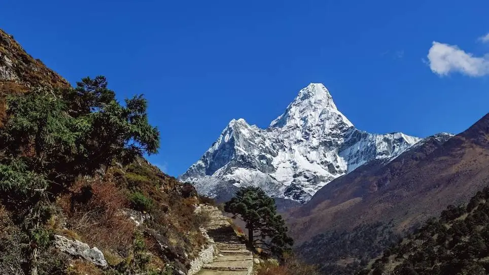 Scenic Himalayan trekking trail leading towards snow-capped Ama Dablam mountain under clear blue sky, surrounded by pine forests and rugged terrain in Nepal.