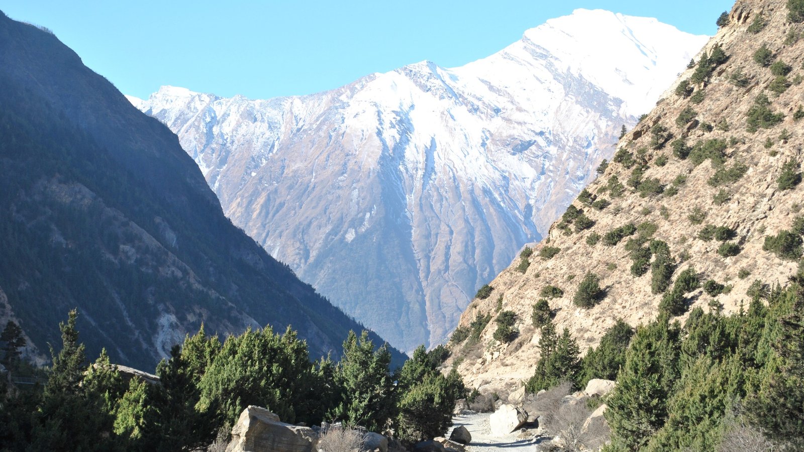 Scenic view of the Annapurna Circuit trekking trail winding through rugged Himalayan terrain, pine forests, and traditional Nepalese villages