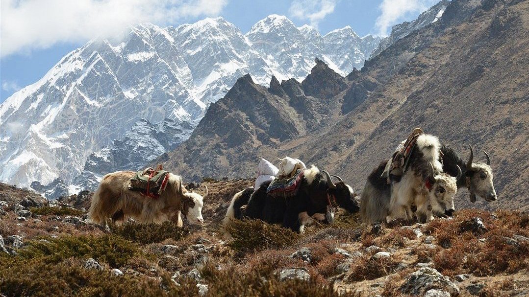 Stunning trail through the Everest region, one of the best treks in Nepal with views of Mount Everest and surrounding peaks