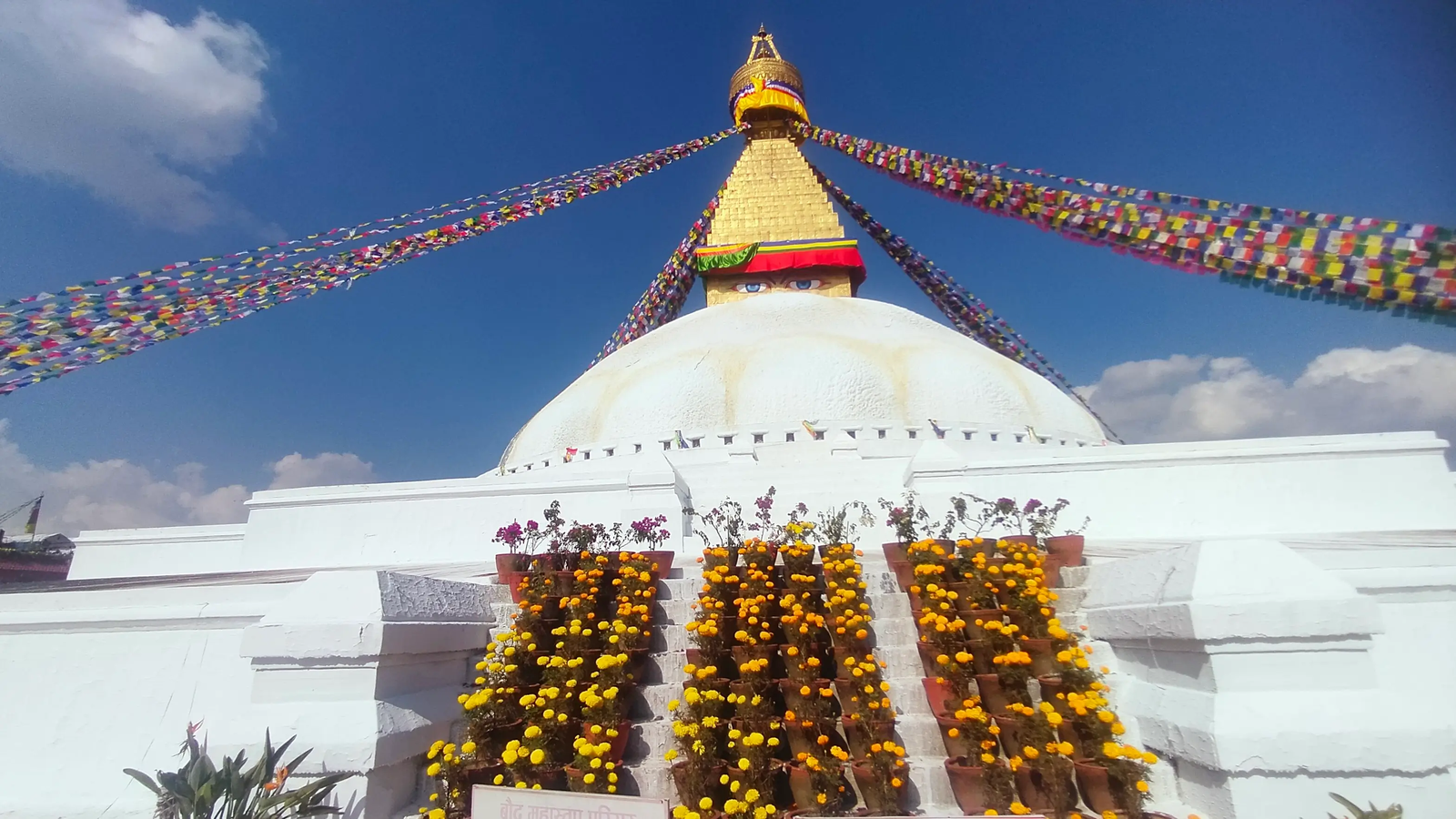 Boudhanath Stupa sunset silhouette — golden sky behind the dome
