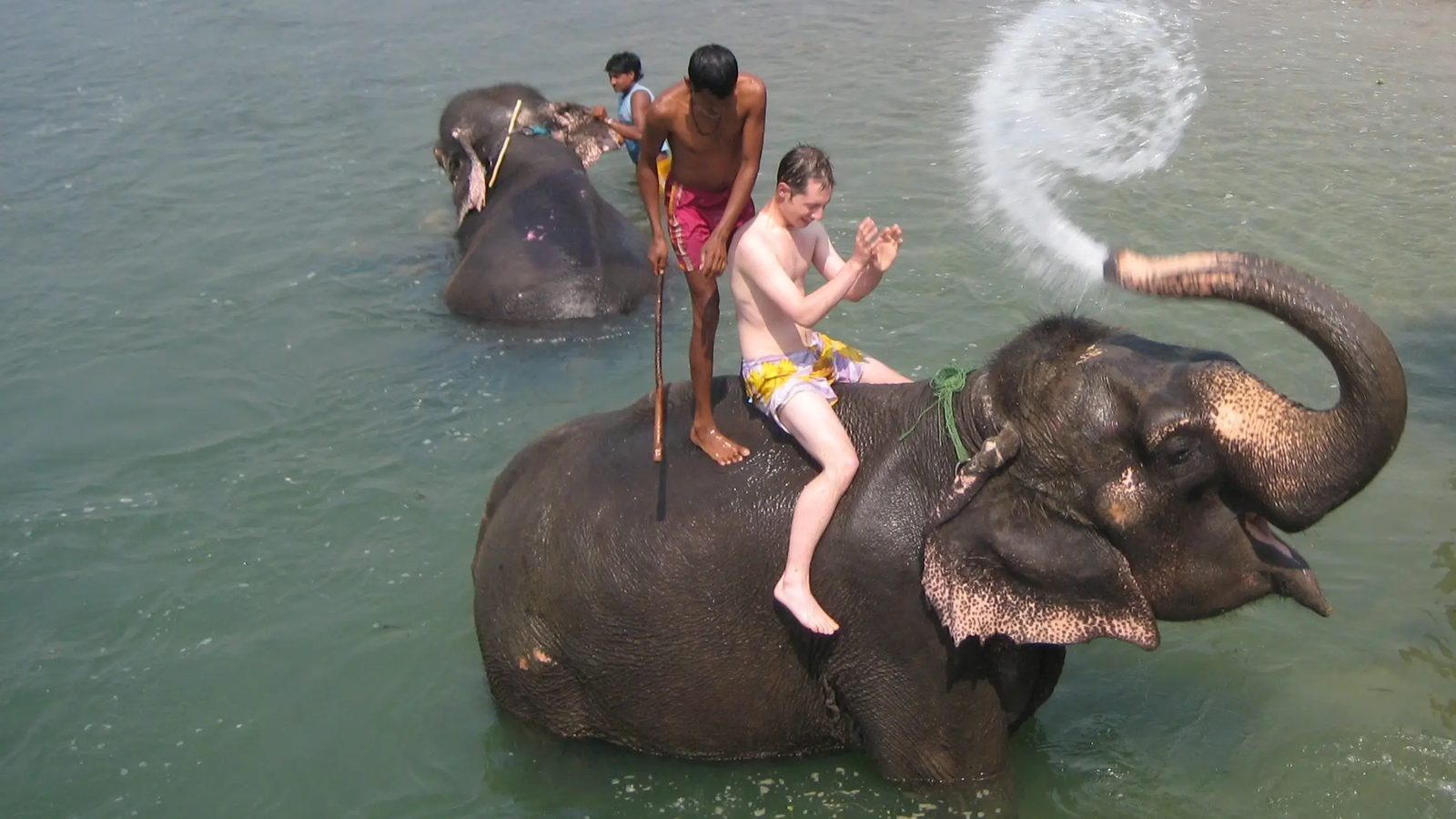 Chitwan National Park Nepal