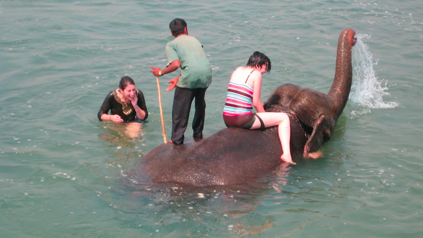 Chitwan National Park Nepal