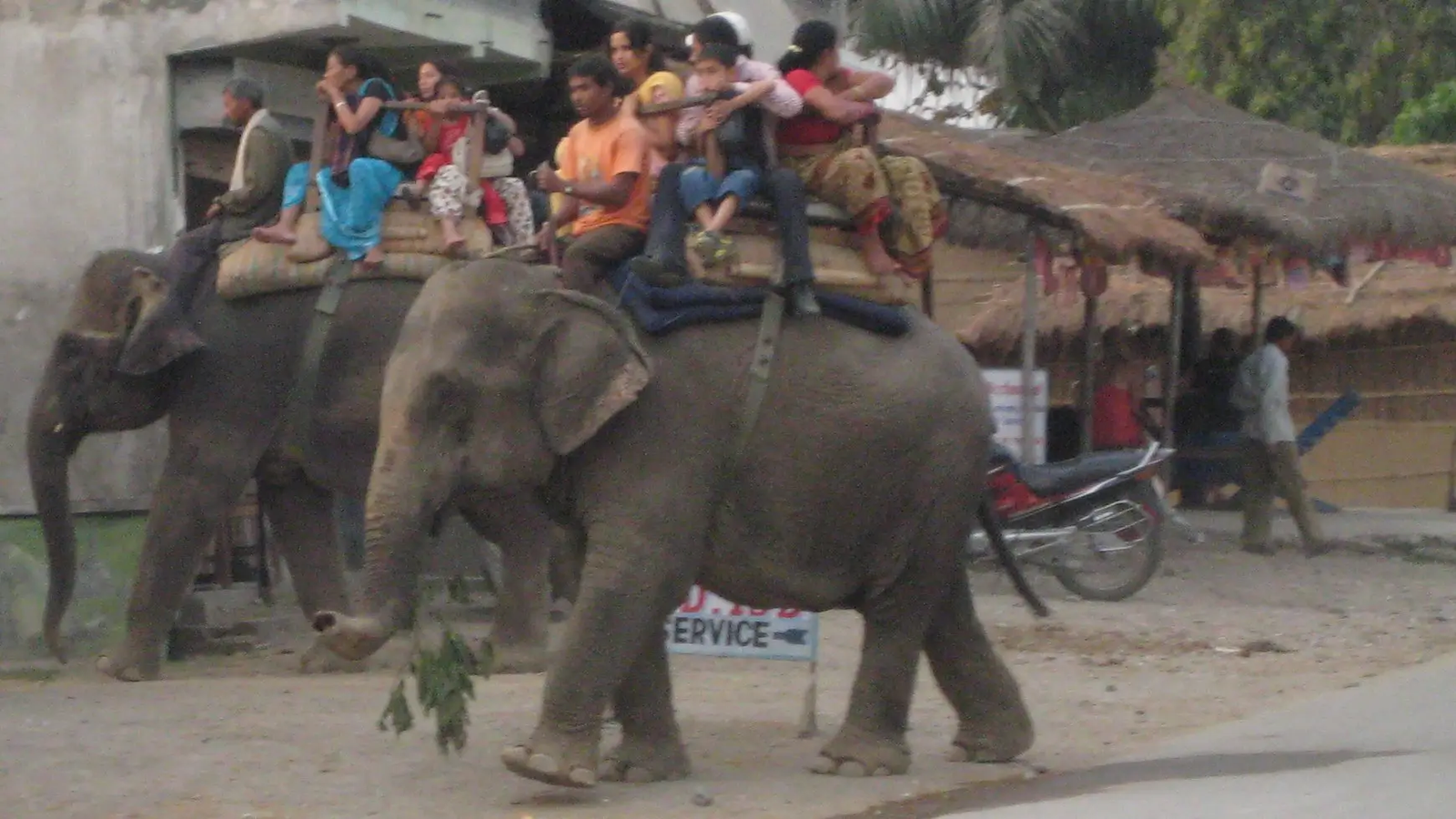 Chitwan National Park Nepal