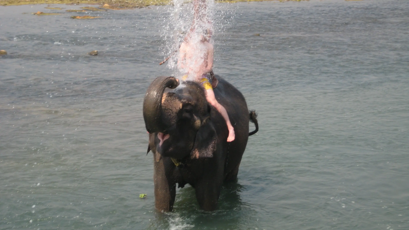 Chitwan National Park Nepal