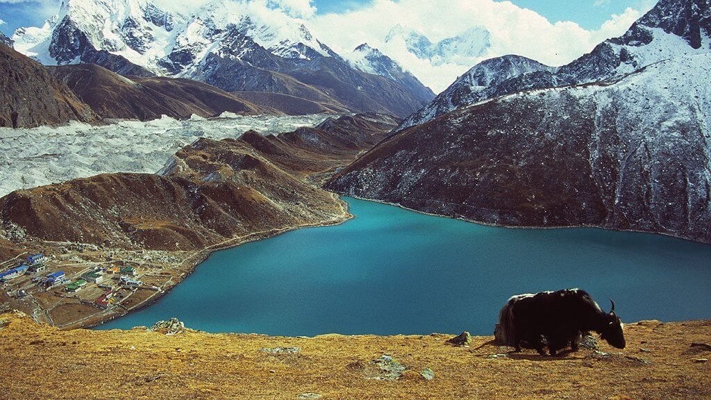 Discover the beauty of Gokyo Lake in the Everest Region of Nepal a world famous turquoise glacial lake surrounded by snowy Himalayan peaks and trekking trails
