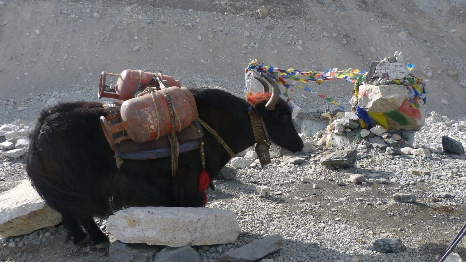 Yak transport on the Everest Base Camp trek, with memorial stones and fluttering prayer flags in the background