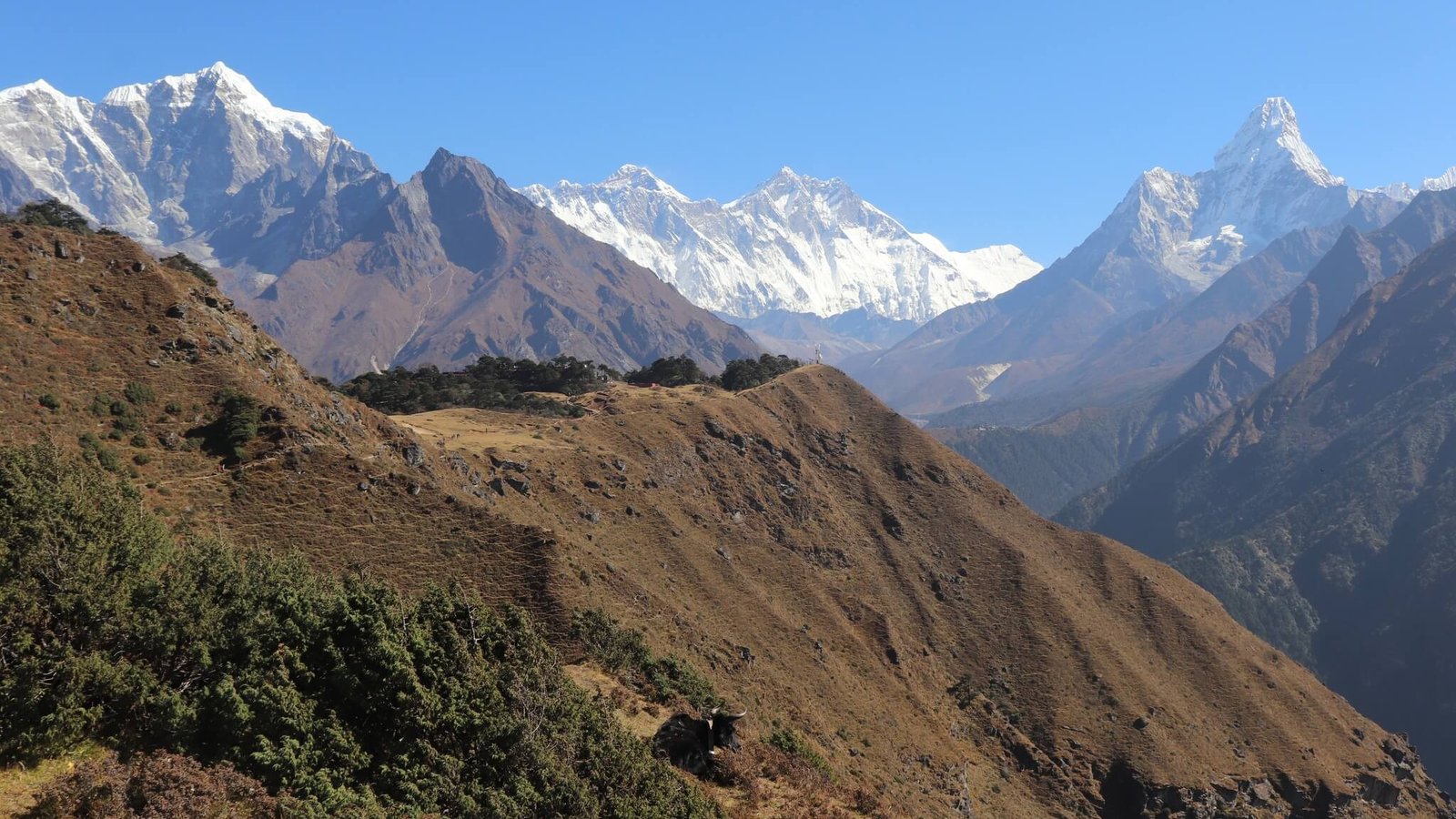 Trekkers enjoying clear views of Mount Everest and surrounding Himalayan peaks during Everest Region Trek near Namche Bazaar, Nepal