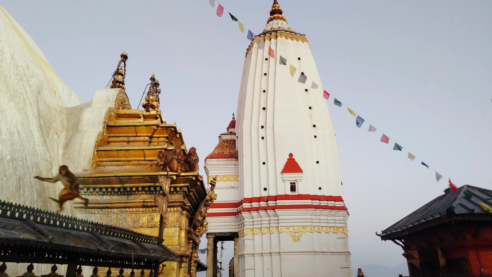 Swayambhunath Monkey Temple monkeys playing near stupa