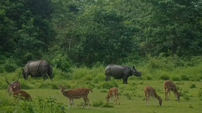 Chitwan National Park